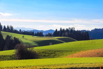 Emmental