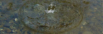Wassertropfen